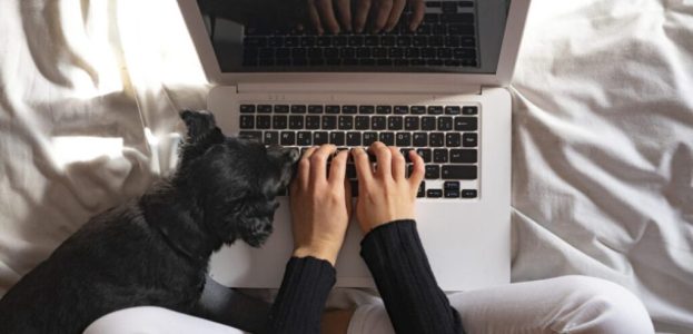 Top view of woman working with laptop at home next to her dog. Top view of woman working with laptop at home next to her dog.