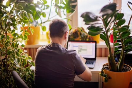 trabajo hibrido trabajo hibrido